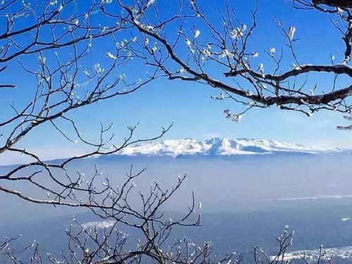 长白山冬日限定返场：冰雪奇缘，梦幻之旅