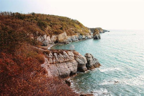 跨越山海，探索秘鲁的神秘与魅力