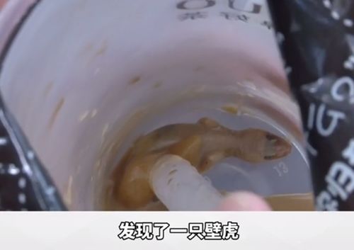 震惊！不喝奶茶的女生竟查出糖尿病，背后真相令人深思