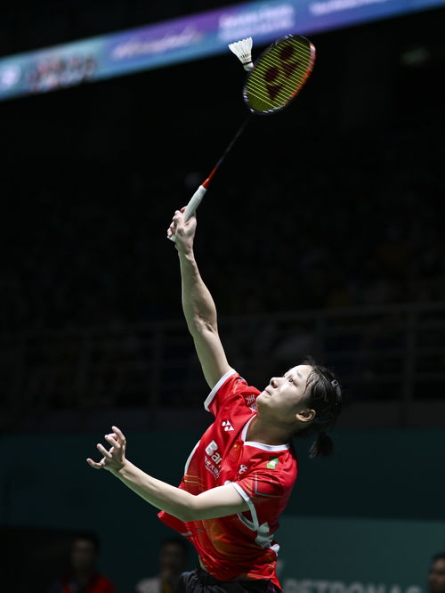 李诗沣2:0安赛龙，国羽新星闪耀日本大师赛