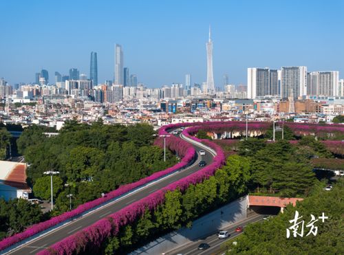 广州打破最长夏天纪录，235天夏日持续刷新历史