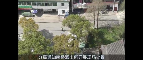 黑龙江警方启动无人机寻找老虎：科技助力生态保护