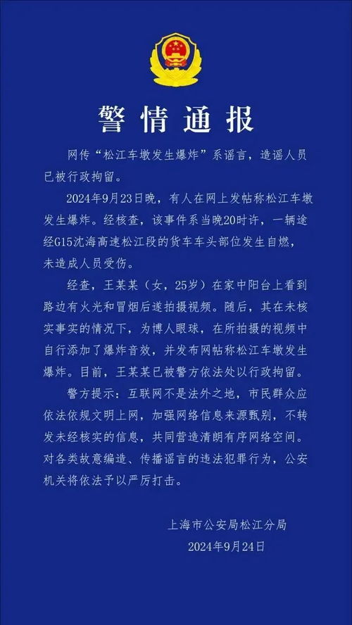 公安网安|造谣大亚湾爆炸？拘