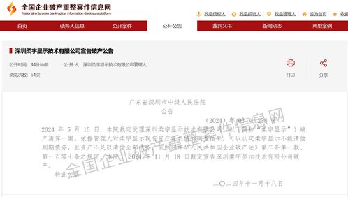 深圳中院宣告深圳柔宇显示技术有限公司破产：一场科技巨头的陨落