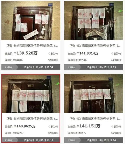 合肥房姐李梅83套房拍卖结束：34套成功成交