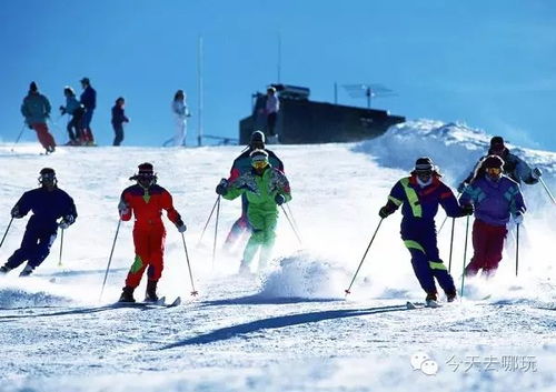 去雪场滑雪，自己练不请教练真的可以吗？