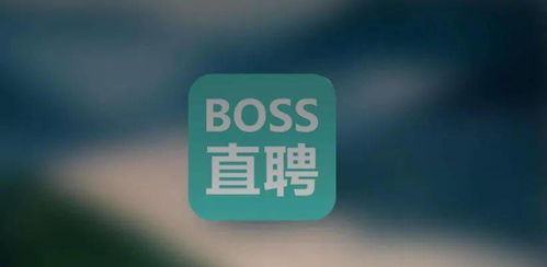 BOSS直聘？男生见雷军直接递简历