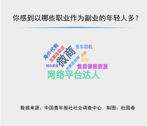 年轻人的副业太全面了！从宠物喂养到乡村导游，他们都在做什么？