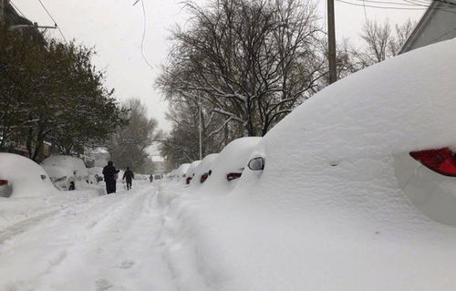 大范围降雪降温来袭，你准备好了吗？