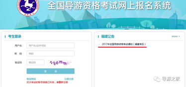 今年约31万人报考导游资格证，旅游行业迎来新热潮