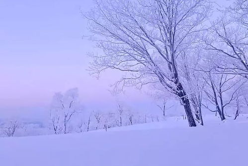 新雪季吉林格局打“开”了：滑雪胜地的全新体验