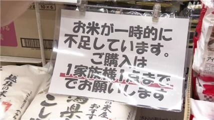 日本大米为何买不着吃不起？背后真相大揭秘