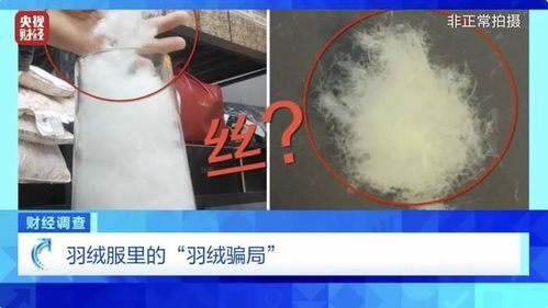 央视曝光羽绒骗局！你的孩子可能在穿