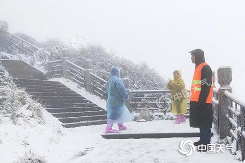 东北局地的雪要下到“发紫”！寒冷来袭，你准备好了吗？