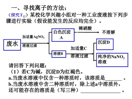 涉网络平台算法典型问题举报邮箱公布：共建清朗网络环境