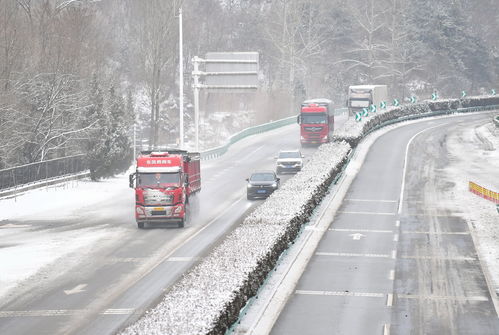 全国多地迎降雪天气，寒潮来袭如何应对？