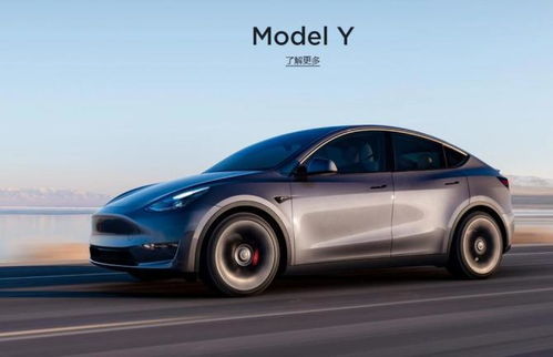 特斯拉Model Y 宣官降价，市场反响如何？