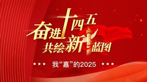 我对2025年的期待：从个人到社会的全面升级