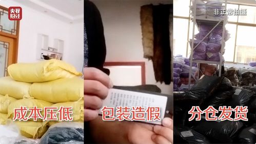 江西伪劣羽绒服制售企业被查，背后真相令人震惊！