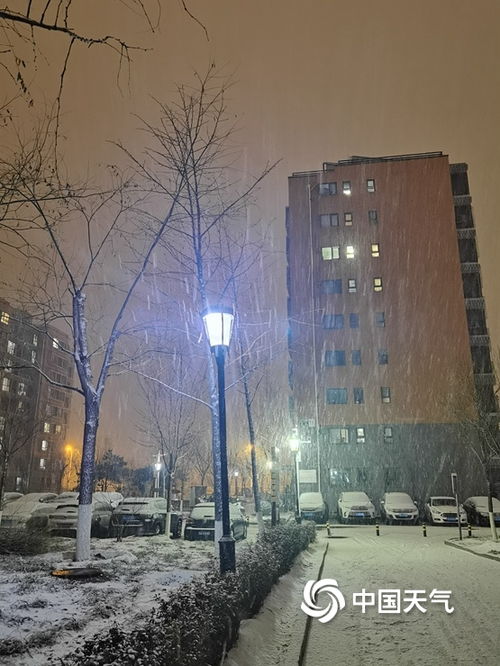 北京多地飘雪，初冬美景如画