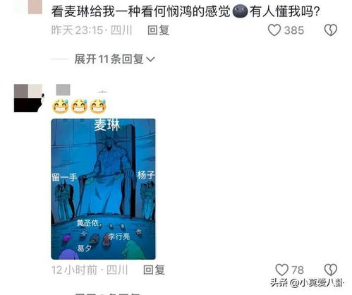 李行亮与麦琳的婚姻纠葛：情感重负下的真实流露