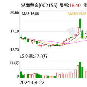 湖南黄金回应6000亿元金矿传闻：真相究竟如何？