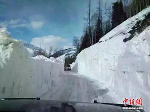 泰山积雪深度近20厘米达暴雪量级，冬日奇景美不胜收