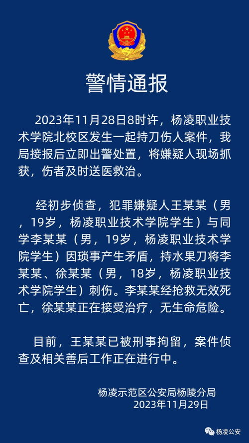 陕西岚皋县野猪伤人致死事件：惊心动魄的一幕