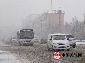 直击黑龙江局地强降雪：多个站点破纪录，雨雪相态转换交通易受阻