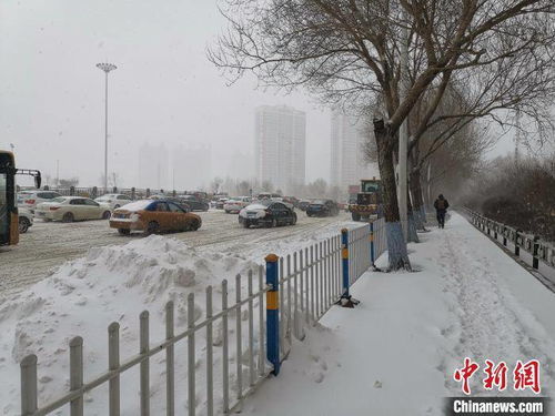 亲历内蒙古黑龙江大暴雪：雪景虽美，出行需谨慎