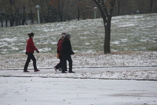 黑龙江鹤岗降雪破纪录，市民如何应对这场罕见的大雪？