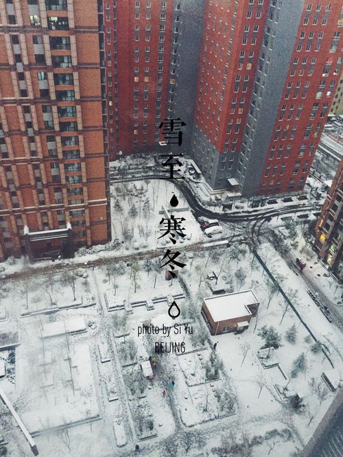 你所在的城市下雪了吗？初雪的惊喜与美丽