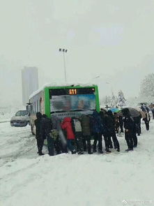 鹤岗暴雪破纪录 乘客雪中推公交