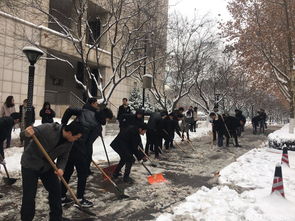 研究生扫雪缺席次数超30%取消奖学金资格？辽大化学院：属实，不解释