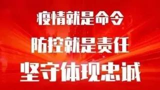 全力保障人民群众生命安全和社会稳定：从个人视角看政府行动