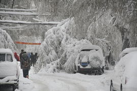 亲历鹤岗特大暴雪：现场直击与生活影响