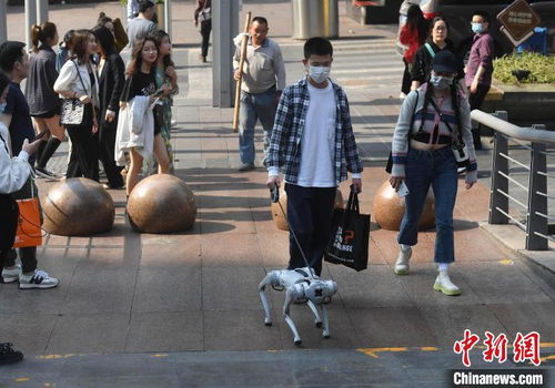 小孩哥骑着机器狗逛街遭围观，科技与童真的完美碰撞