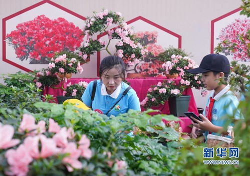 产业一线 | 养宠人一年花超千亿背后，猫的伙食是什么水平？