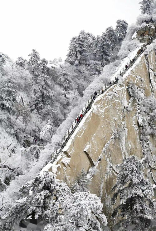 驴友分享北方的雪景：一场雪落满人间的诗意旅程