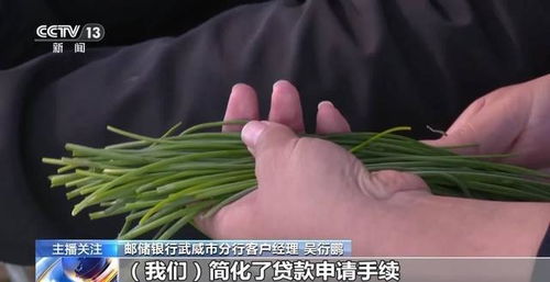 寒潮来袭，如何稳产保供蔬菜？