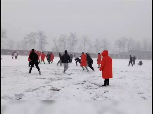 下雪了怎么能少了打雪仗：一场冬日的欢乐盛宴