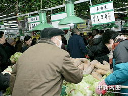 暴雪中的鹤岗：市民的菜篮子稳如磐石