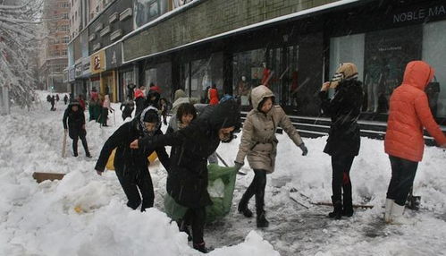 黑龙江鹤岗的雪好大啊！亲历暴风雪的震撼瞬间