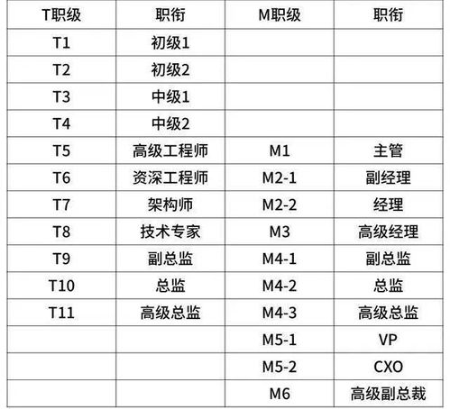 京东职级体系大变革：M、P、T、S合并为新专业主序列P，背后的故事