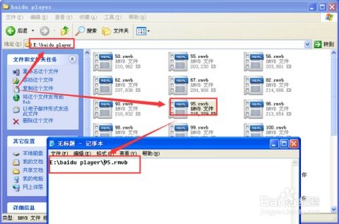 SAS编程：轻松掌握获取文件名称的技巧