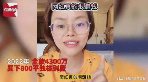 网红彩虹夫妇5年剖4胎产女宣布封肚：背后的故事与思考