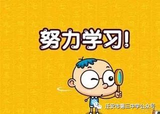 学习是为了什么？从个人视角探寻学习的真正意义