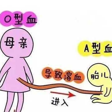 亲身经历：ABO溶血症及时就诊治愈率100%背后的真相