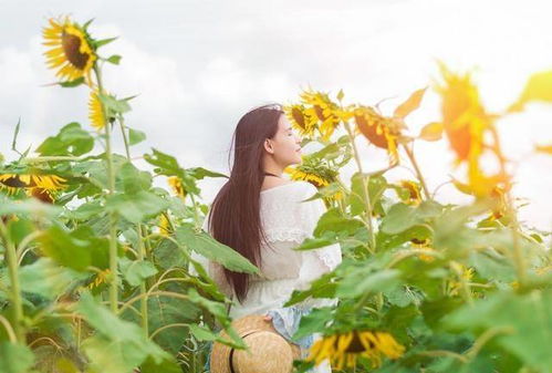 这个家因为她遍地生花：抖音上的温暖故事