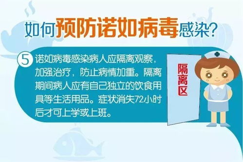 诺如病毒进入高发期，如何预防？个人视角的全方位指南